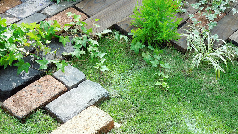 植物を活かしたみどり豊かな庭づくり